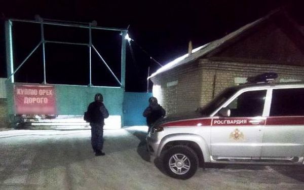 Два мешка кедровых орехов украли работники пункта приёма дикоросов в Бурятии 