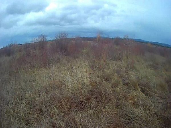 В Бурятии оштрафованы собственники сельхозземель за неисполнение предписаний Россельхознадзора