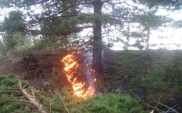 В двух районах Бурятии тушат сложный лесной пожар