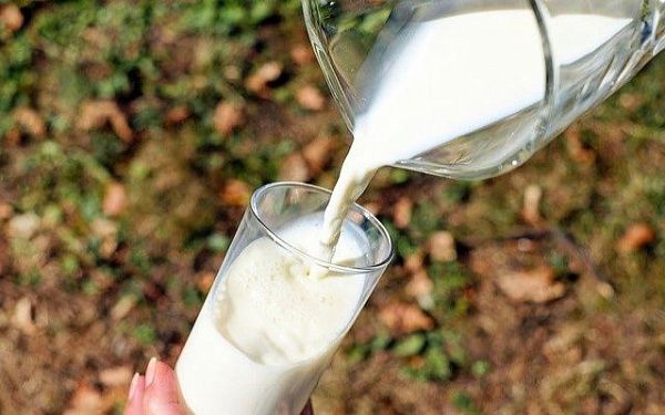 Кабанское хозяйство стало рекордсменом по производству молока на Дальнем Востоке
