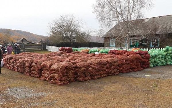 В Закаменском районе 124 человека, пострадавших от паводков и града, обеспечены овощами