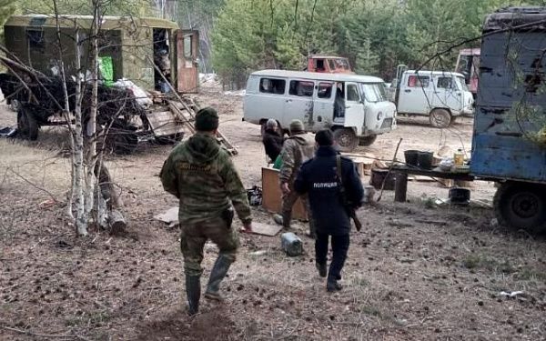 В Бурятии медведица защищала свое потомство
