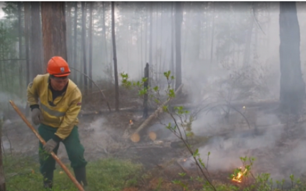 На Дальнем Востоке ликвидированы все лесные пожары 