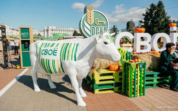 На площади Советов развернулся фестиваль фермерской продукции «СВОЁ»