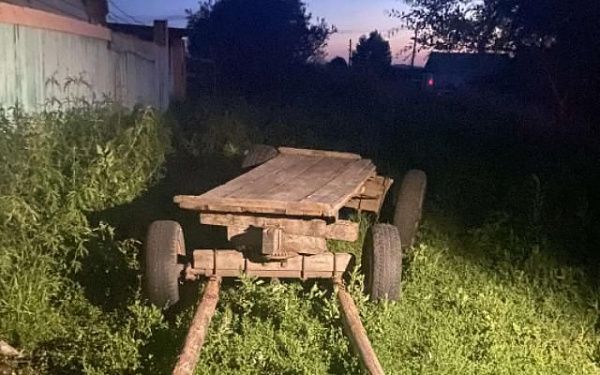 В Бурятии 13-летняя девочка выпала с гужевой повозки на ходу