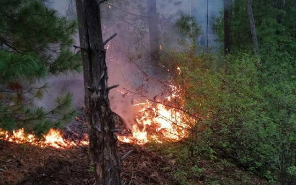 В лесах Бурятии огнеборцы продолжают тушить пожары