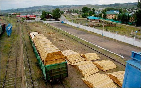 1,3 млн тонн древесины экспортировали участники ВЭД через таможенный пост ЖДПП Наушки за 7 месяцев 2020 года