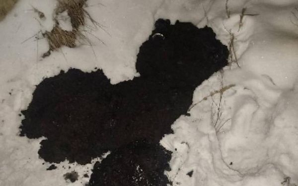 В Улан-Удэ неизвестные слили в коллектор мазут 