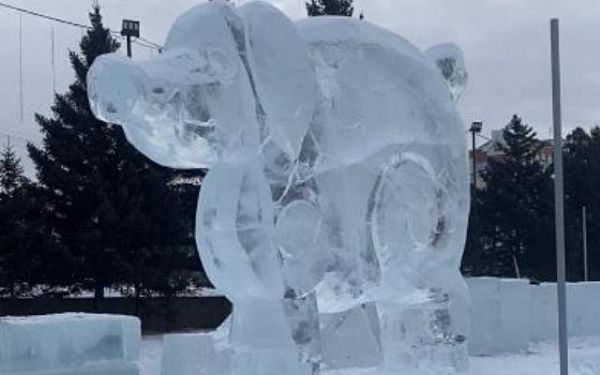 На площади Советов установят более 25 ледяных фигур