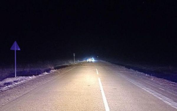 В Бурятии водитель "Тойоты Камри" сбил корову на дороге