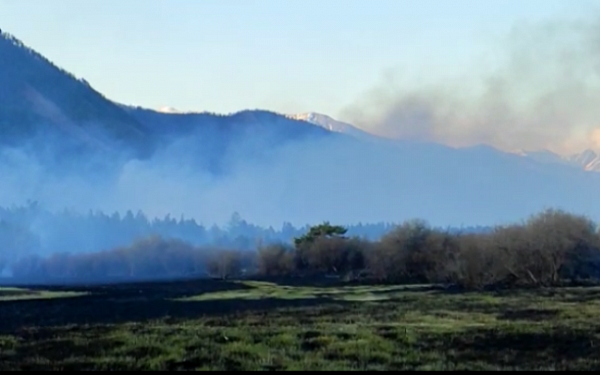 Более 100 человек сражались с лесными пожарами в Бурятии  