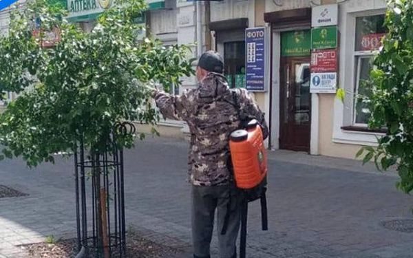В Улан-Удэ ведут борьбу с нашествием моли на растениях