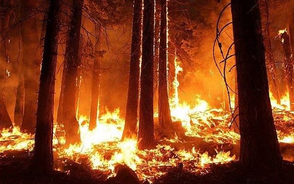 В Бурятии продолжается тушение лесного пожара в Забайкальском нацпарке