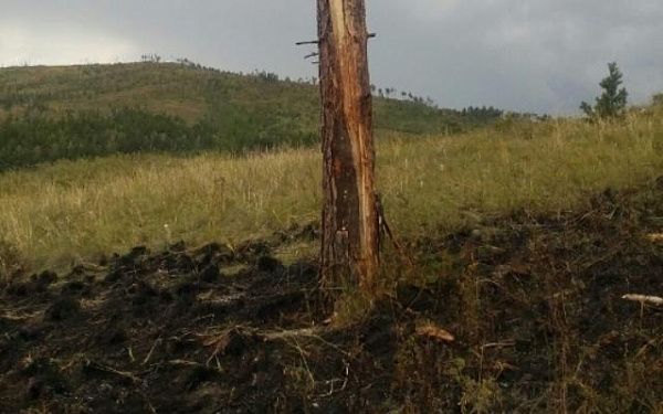 В Бурятии гроза стала причиной лесного пожара