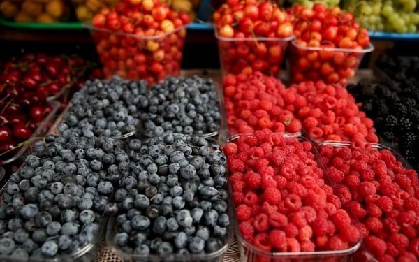 Производство ягод в России может снизиться