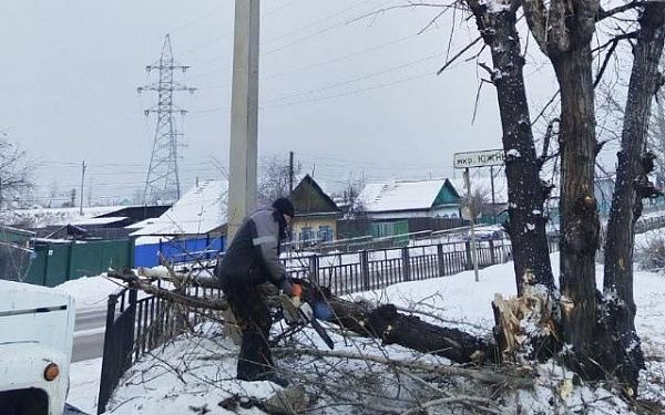 В Улан-Удэ неизвестный водитель снёс тополь 