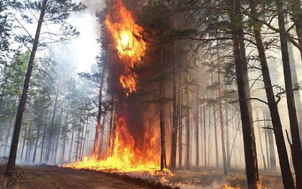 В Прибайкальском районе ликвидировали 2 сложных лесных пожара