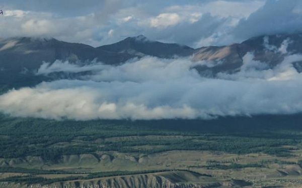 В национальном парке Бурятии откроется сезон охоты на самцов тетерева, глухаря и водоплавающей дичи