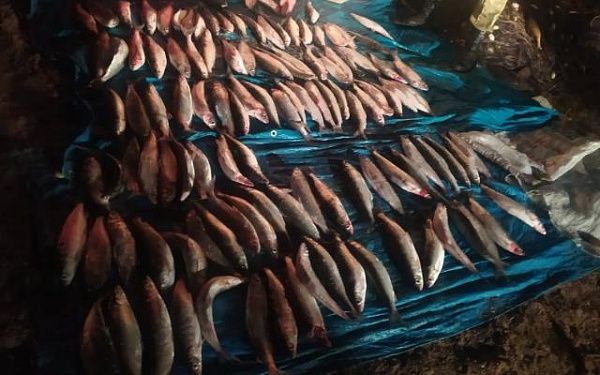 В акватории озера Байкал сотрудники ОМОН Росгвардии задержали браконьеров