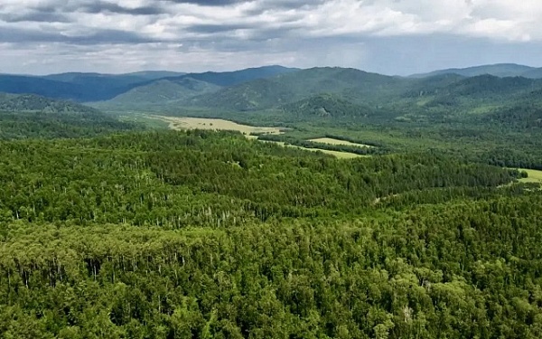 Лесопожарная обстановка в Бурятии стабилизирована 