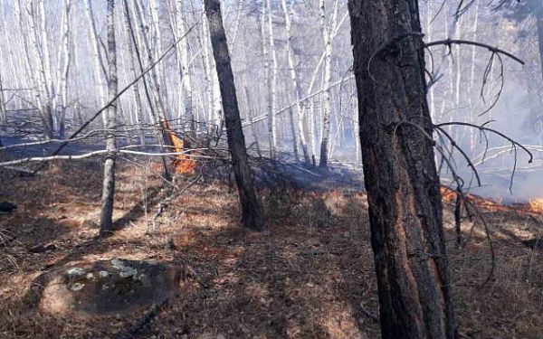 В Бурятии ликвидировали 7 лесных пожаров
