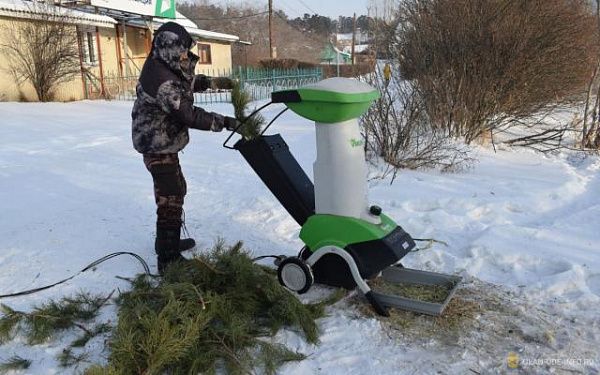 В Улан-Удэ перерабатывают новогодние деревья