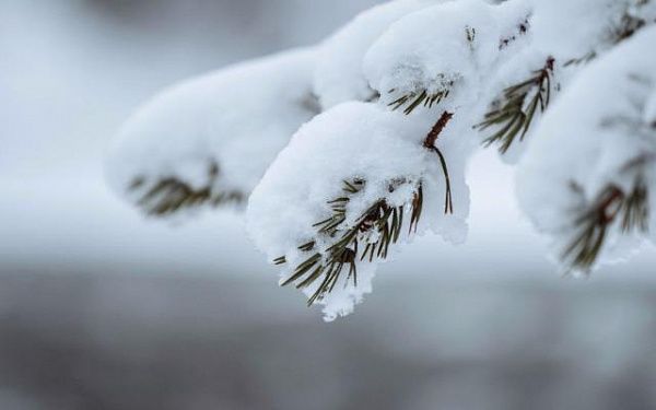 Погода в Улан-Удэ  и республике на сегодня и ближайшие дни: будет зима
