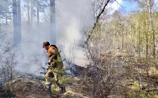 Лесники тушат один грозовой пожар
