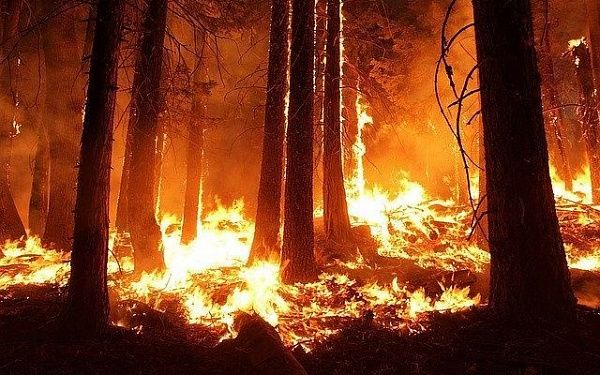 В Бурятии тушили лесной пожар вблизи населённого пункта