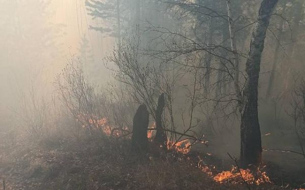 В Бурятии более 500 человек сражаются с лесными пожарами